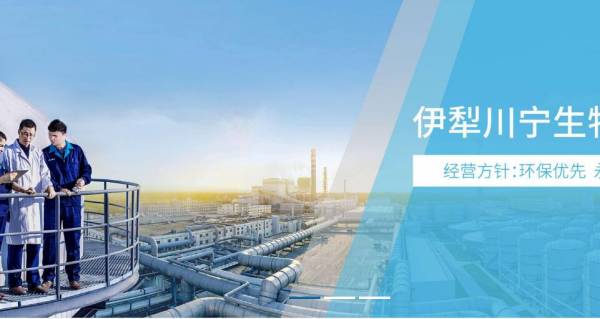 伊犁寧生物技術股份網絡營銷整合與節能產品技術開發雙輪驅動